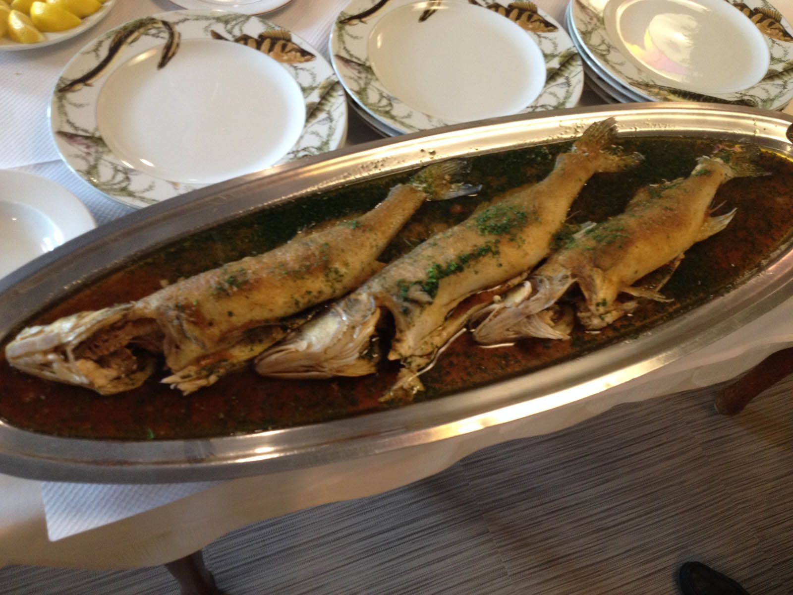 Hôtel-restaurant Aux Bords du Rhin à Rhinau, frontière allemande, proche europapark et rulantica